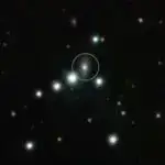 Araşdırma göstərir ki, embrionun inkişafı şəkərlə dəyişdirilmiş zülallardan asılıdır