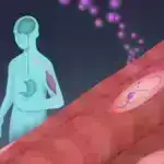 Effektiv öyrənmənin sirri: Müxtəlif yollarla məlumat əldə etmək