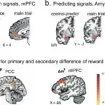 Davamlı litium hasilatı üçün yeni üsul emissiyaları 75% azalda bilər