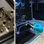 Araşdırma göstərir ki, Buz Dövrünün kəskin iqlim dəyişiklikləri zamanı meşə yanğınlarının aktivliyi artıb