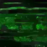 Marvel və DC filmlərində kobud uşaqlıq qəhrəmanları cani olmağa məhkum etmir