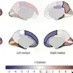 2025-ci ildə və ondan sonrakı illərdə məktəblər sadəcə “əsaslardan” daha çoxunu öyrətməlidirlər.