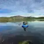 Yeni iş bioelektronik tibbin gələcək nəsli üçün yol xəritəsi yaradır