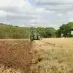 Şimali Karolinanın sahil turizmi duzlu krandan su səbəbiylə azala bilər