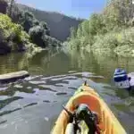 Kiçik ətyeyənlər Levantda ovçu-yığıcıların qidalanmasının mühüm hissəsini təşkil edə bilər.