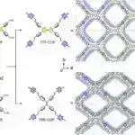 Vaksinləri gücləndirmək üçün Spirulina sirlərini açmaq