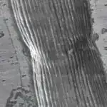 Yeni kəşf edilmiş qrup iki optik qaranlıq ulduz əmələ gətirən qalaktikaya ev sahibliyi edir