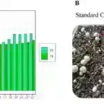 Çiçək gücü: Daha uzun ömürlü natrium-kükürd batareyaları üçün lavanda yağı