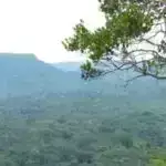 Davranışa əsaslanan asılılıq şəbəkələri iqtisadi şoklardan sonra şəhərlərin davamlılığını formalaşdıra bilər