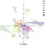 Tədqiqat insan əməkdaşlığının sinir əsaslarına dair yeni fikirlər toplayır