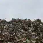 Pensilvaniyada quş qripi haqqında nə bilmək lazımdır