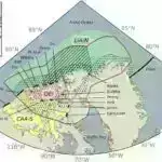Kiçik yosunlar nəhəng istiridyelərin təkamülünü necə formalaşdırdı