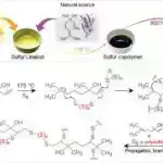 Daha yaxşı məhsul inkişafı üçün göbələk mikrobiomlarından istifadə