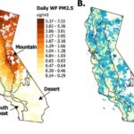 Biofilm busters: Bitki mənşəli molekul bakteriyaların səthlərdə qoruyucu biofilmlərin əmələ gəlməsini dayandırır.