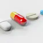 Quangxidə yeni begonia növləri tapıldı