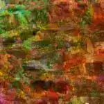 Floridada minilliklər boyu inkişaf edən bitkilər indi nəsli kəsilmək təhlükəsi ilə üz-üzədir və qorunmur