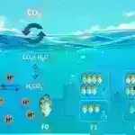 Yeni enerjiyə qənaət edən yarımkeçirici texnologiyası üçün silikonun 2D materialları ilə qarışdırılması