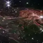 Çimərlik mühafizəçiləri: Gizli mikroblar dəyişən iqlim şəraitində sahil sularını necə qoruyur