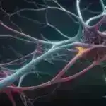 Qan damarının böyümə faktoru siçan tədqiqatında narahat davranışları yüngülləşdirir