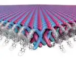 Tədqiqat insanların peşələri ilə nöropsikiyatrik xüsusiyyətlərə genetik meylləri arasında əlaqəni araşdırır