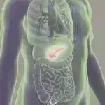 Qeyri-kommersiya təşkilatları fəlakət baş verməzdən əvvəl, zamanı və sonra necə fəaliyyət göstərir