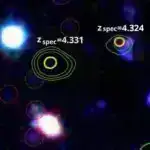 Kabel bakteriyaları 100 mikrometrdən çox proton keçirərək bioelektron potensiala işarə edir