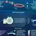 Beyin görüntüləmə təcrübələri qərar qəbul edərkən başqalarının hərəkətləri ilə bağlı gözləntiləri necə emal etdiyimizi ortaya qoyur