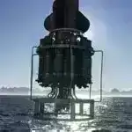 Elm adamları konnektom məlumatlarından istifadə edərək kirpiklərin sirlərini açır