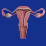 Nanoadaların yaradılması platin katalizatorunun səmərəliliyini artırır