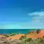 Yeni kəşf edilmiş mexanizm zədələnmiş DNT-yə malik hüceyrələrdə immun cavabı işə salır