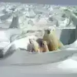 İqlim dəyişikliyi Himalay dağlarında ardıcıl təbii təhlükələr riskini artırır