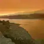 Sistematik araşdırma OKB müalicəsi üçün glutamaterjik dərmanlarda potensial tapır