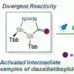 Tədqiqat şizofreniya və müalicə müqaviməti ilə əlaqəli immunitet sistemindəki dəyişiklikləri ortaya qoyur