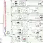 AI texnikası əlavə avadanlıq olmadan qalın bioloji nümunələrin aydın təsvirlərini yaradır