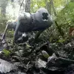 Təkmil görüntüləmə yüksək riskli prostat xərçəngi hallarında gizli metastazları aşkar edir