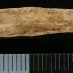 Alimlər qədim “qaynar nöqtənin” Böyük Göllərin yaranmasında böyük rol oynadığına dair sübutlar tapırlar