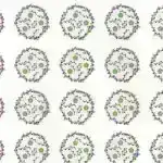 Görünməz ittifaqlar: Bakteriyalar və hüceyrələr cazibədar əlaqələr yaratdıqca krallıqlar toqquşur