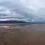 Fidan qarışıqlığı: İqlim istiləşməsi toxumların cücərmə qaydasını dəyişdirərək bitki icmalarını yenidən formalaşdırır