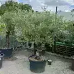 Zəncir poçtuna bənzər yeni material zirehin gələcəyi ola bilər