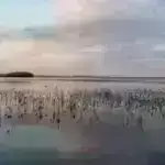 Bezosun Blue Origin-i gələn həftə ilk orbital buraxılışa hazırlaşır