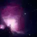 Yaşıl çay içmək yaşlı insanların beyinlərində daha az ağ maddə zədələnməsi ilə əlaqələndirilir