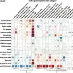 Zəncir poçtuna bənzər yeni material zirehin gələcəyi ola bilər