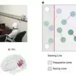 Kiçik ətyeyənlər Levantda ovçu-yığıcıların qidalanmasının mühüm hissəsini təşkil edə bilər.