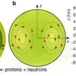 Üzükşəkilli polimerlər şüşəyə bərkiyir və davamlı material potensialı təklif edir