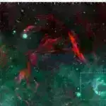 İlbiz darterinə yenidən baxıldı: Bənd tikintisini dayandıran məşhur balıq nəsli kəsilməkdə deyil