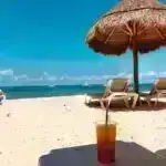 Növlərarası mitoxondrial tədqiqat orqan transplantasiyasının canlılığını yaxşılaşdıra bilər