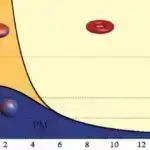 Astronomlar cırtdan qalaktika NGC 300-ün ulduz halosunda özünəməxsus xüsusiyyətlər aşkar ediblər