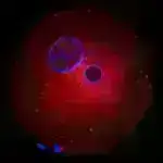 Astronomlar aktiv qara dəliyin astanasında görünməmiş xüsusiyyətləri tuturlar