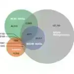 Polimerlərdəki bakteriyalar canlı gellərə çevrilən kabel kimi strukturlar yaradır