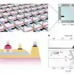 Bakteriyaların əbədi olaraq kimyəvi maddələr və hətta onların bəzi zəhərli əlavə məhsullarını yediyi aşkar edildi
